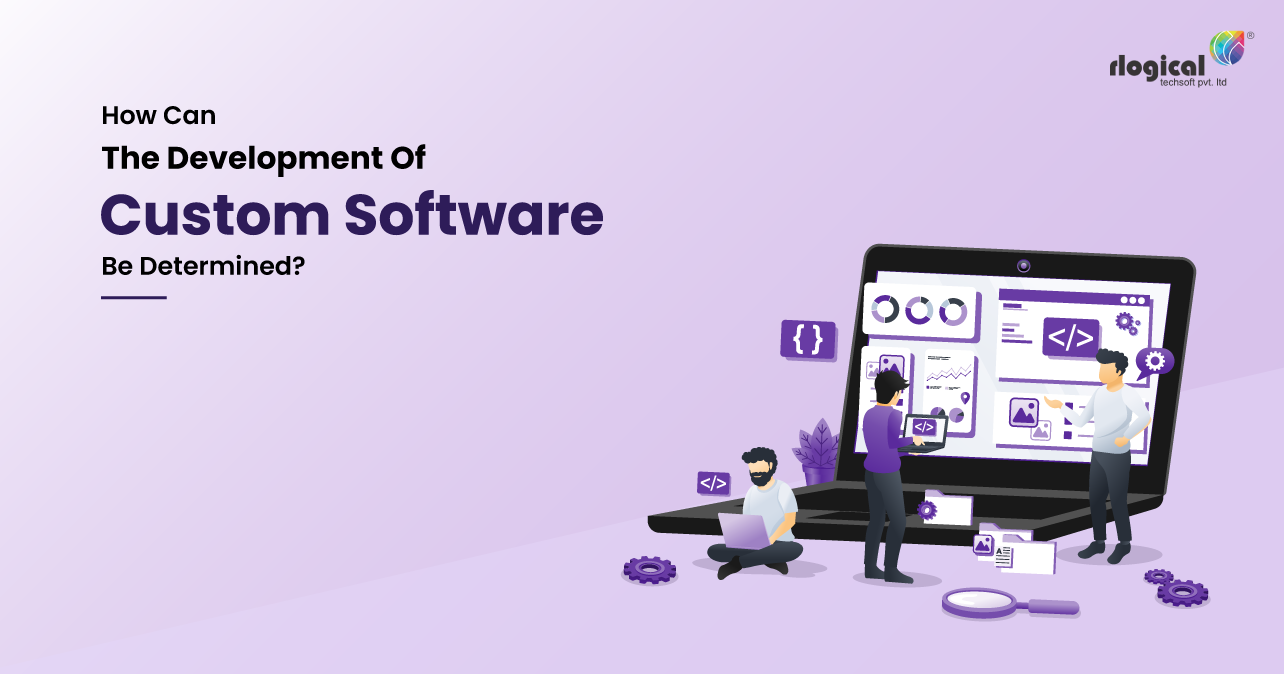 How Can The Development Of The Custom Software Be Determined?
