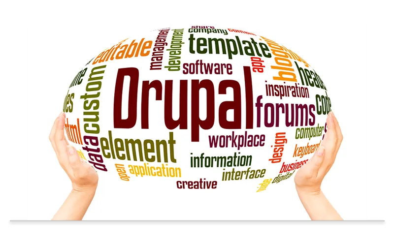 Custom Drupal Development Services