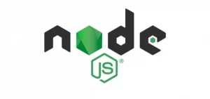 nodejs for web app development