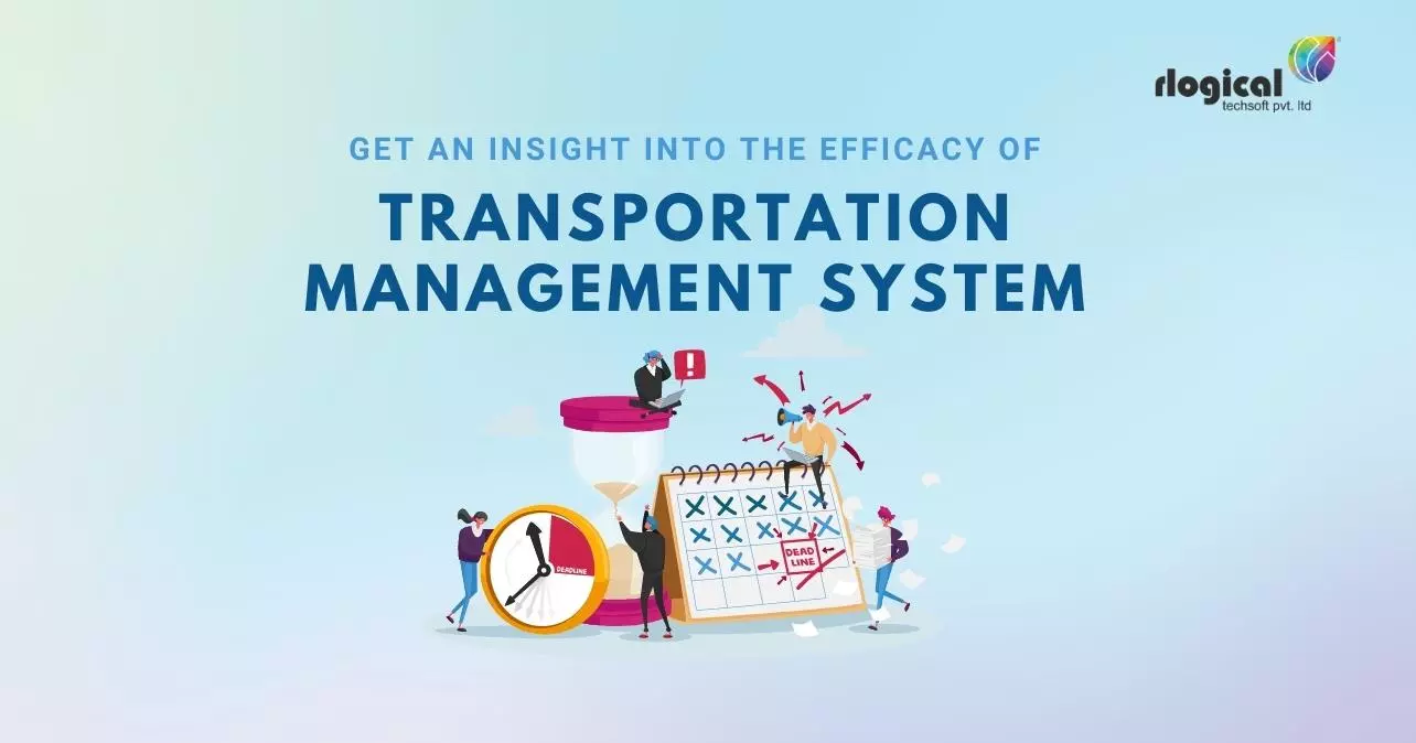Get an Insight into the Efficacy of Transportation Management System